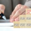 勉強を続けるとレベルアップすることを表した木のブロック